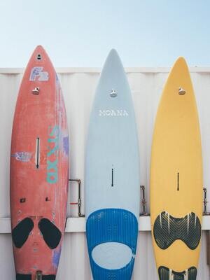 Puddle Fish Surfboard #1