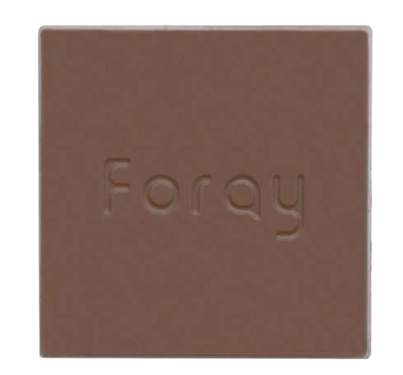 Salted Caramel Chocolate Square
