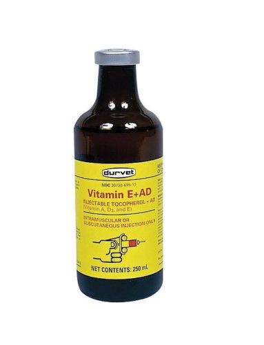 Cattle Supplement