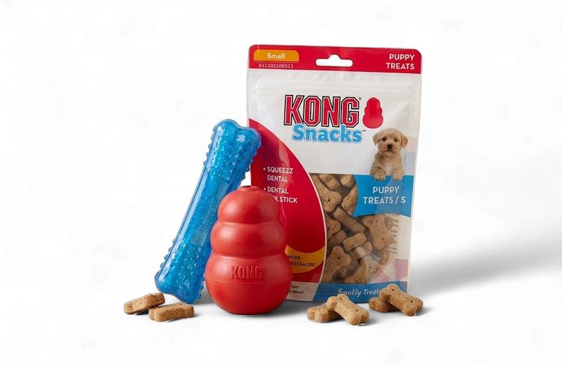 KONG Puppy Play Bundle