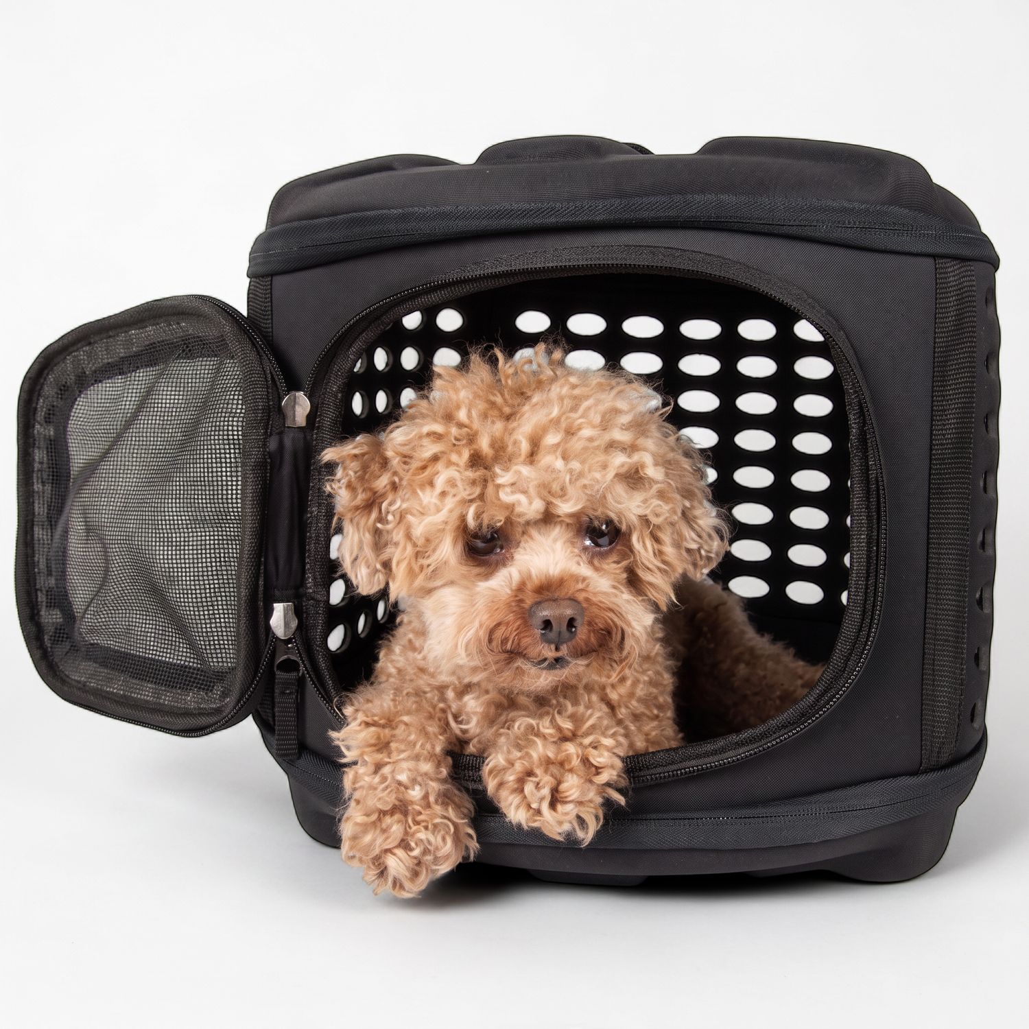 Pet Life Lightweight Collapsible Military Grade Pet Carrier