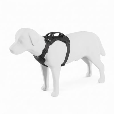 Cappy Dog Car Harness