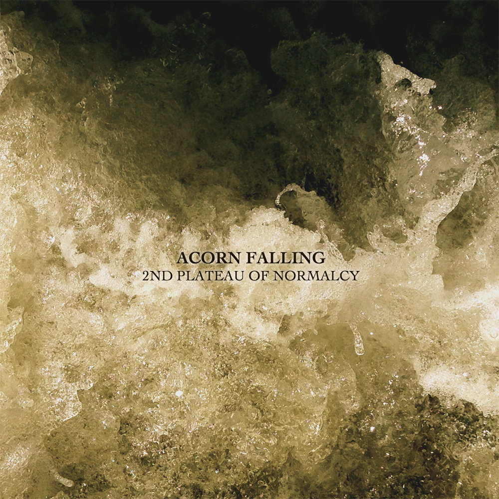 2'nd Plateau of Normalcy (CD) 000006