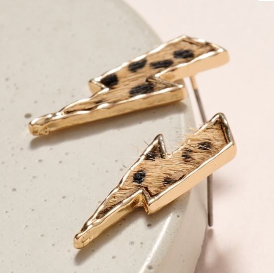 Lightning  Bolt Shaped Stud Earrings