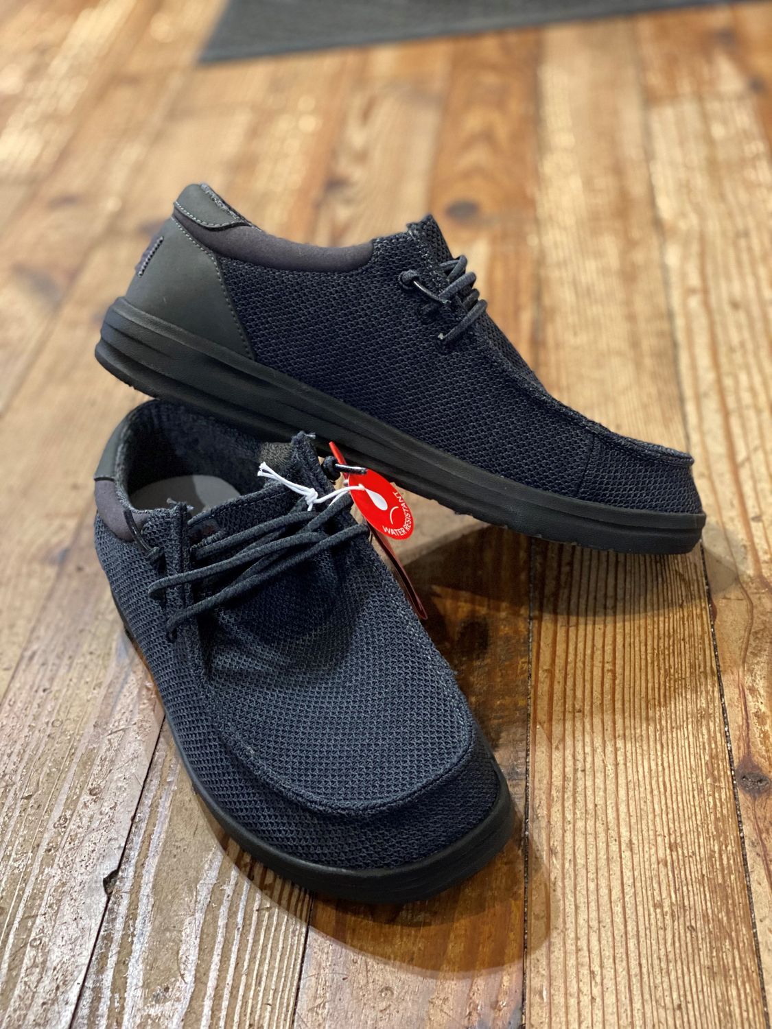 Paul Sox Total Eclipse