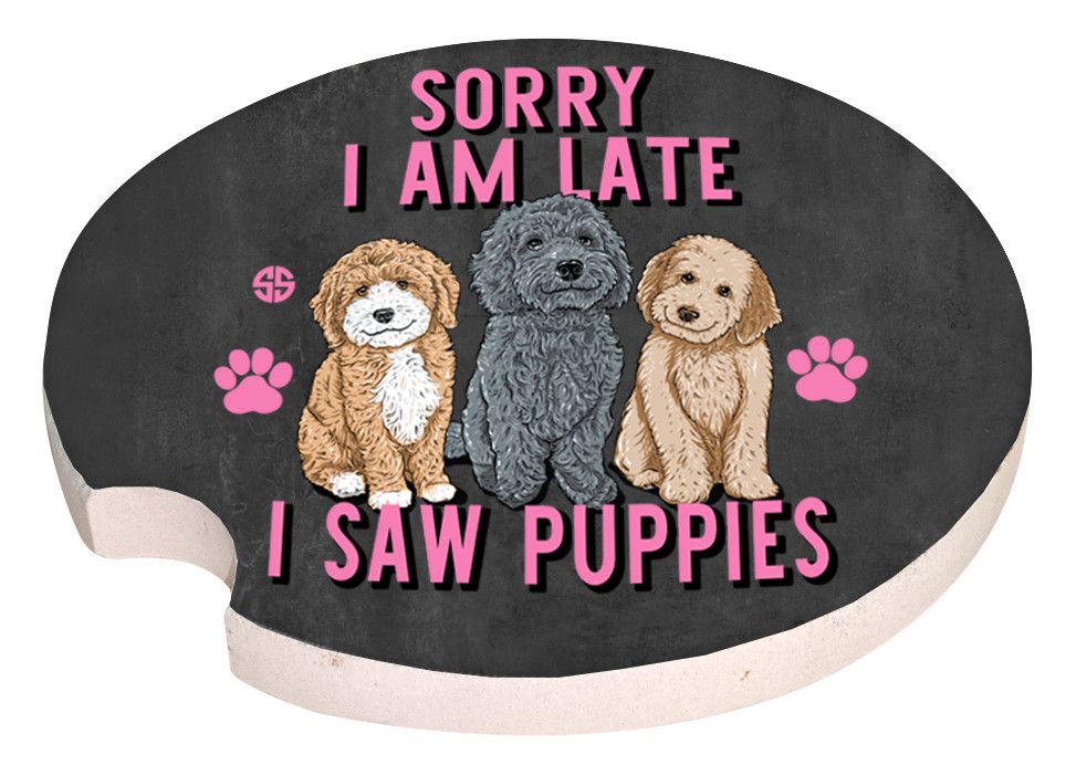 2021 Simply Southern Car Coasters