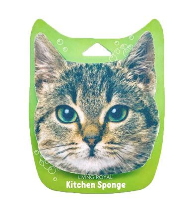 Fun Kitchen Sponge