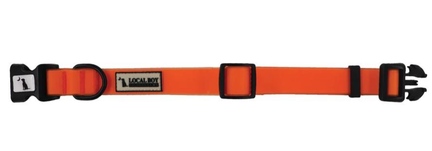 Dog Collar Neon Orange