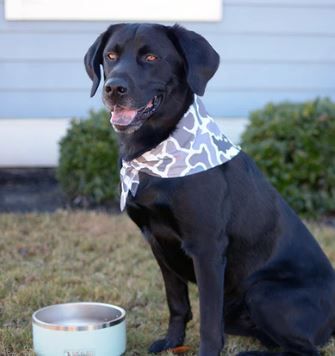 Dog Bandana LocalFlage