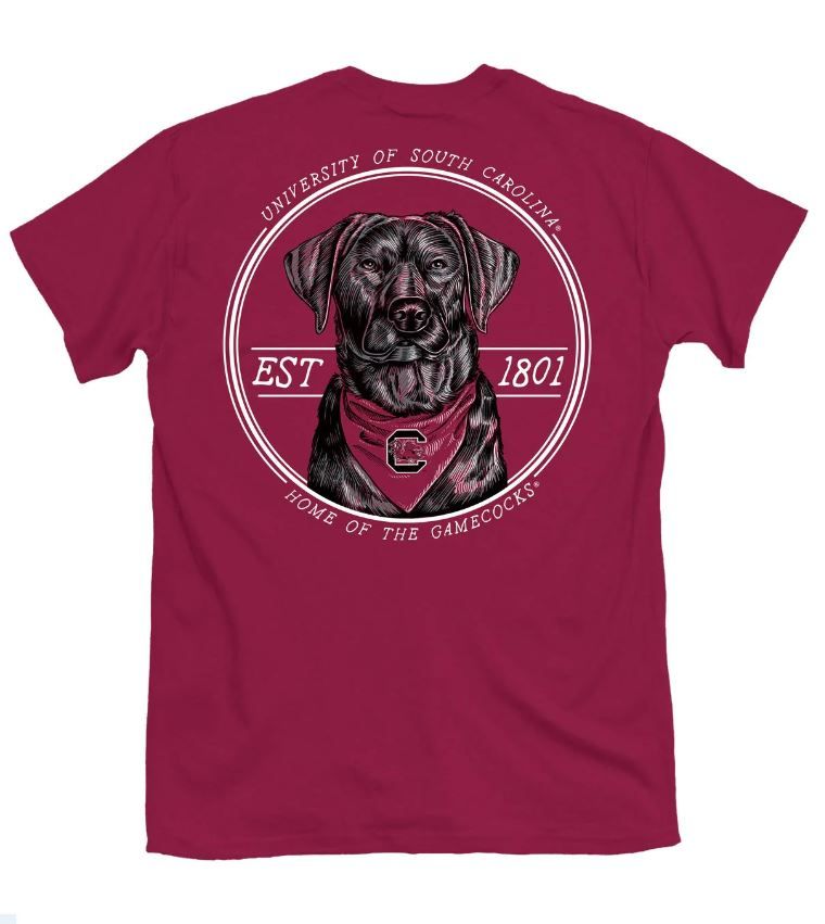 Gamecocks Bandana Lab Cardinal