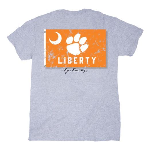 Clemson Liberty Flag Light Steel