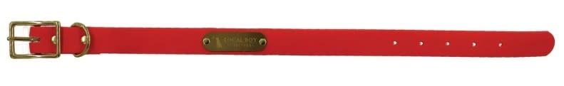 Local Boy Biothane Dog Collar Orange