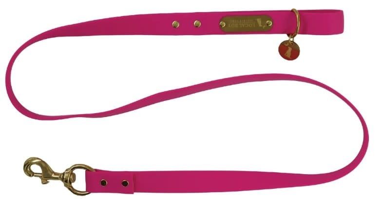 Local Boy Biothane Dog Leash