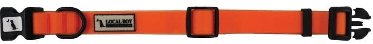 Local Boy Dog Collar Neon Orange