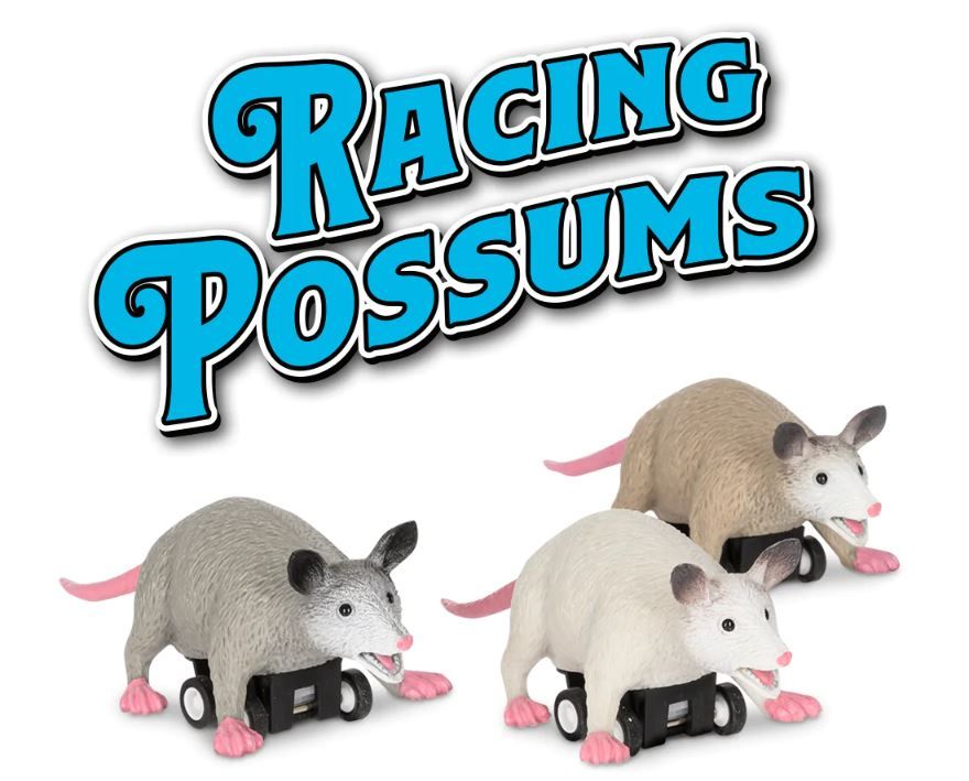 Racing Possum