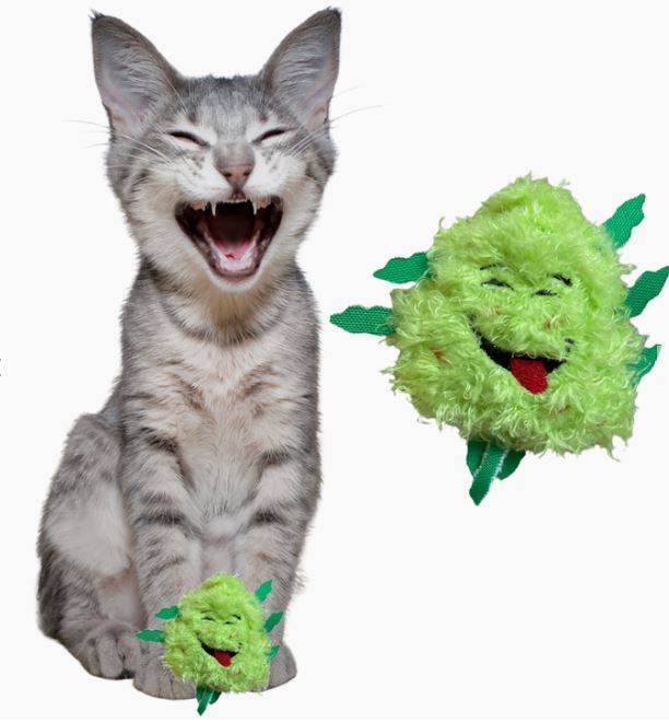 Bud Jr The Weed Nug Cat Toy
