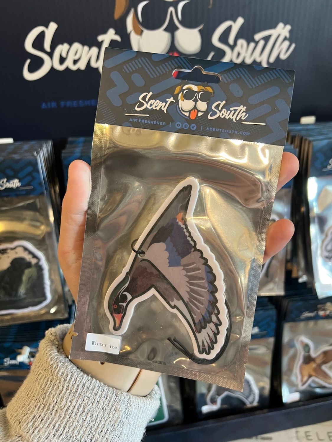 Wood Duck - Winter Ice Air Freshener