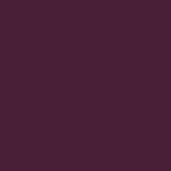 Century Solids CS-10-AUBERGINE