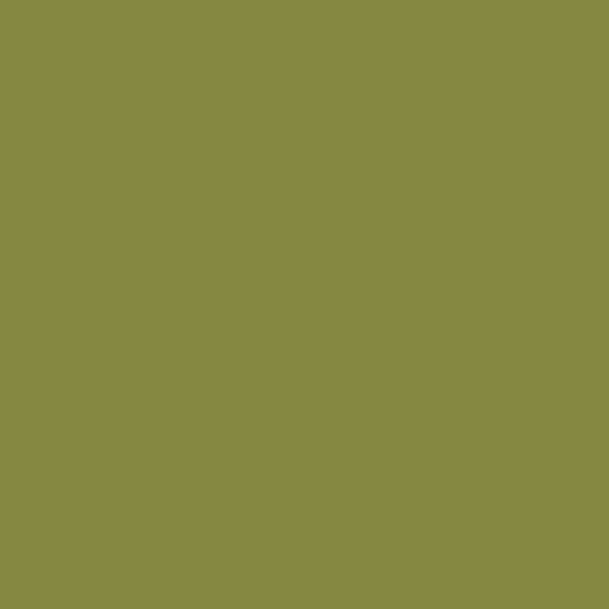 Century Solids CS-10-JALAPENO