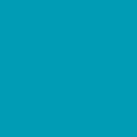 Century Solids CS-10-BAHAMA
