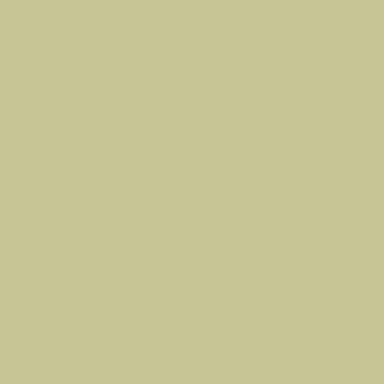 Century Solids CS-10-Sanddollar