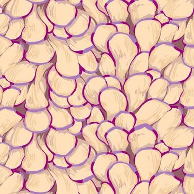 Oyster Mushroom Light