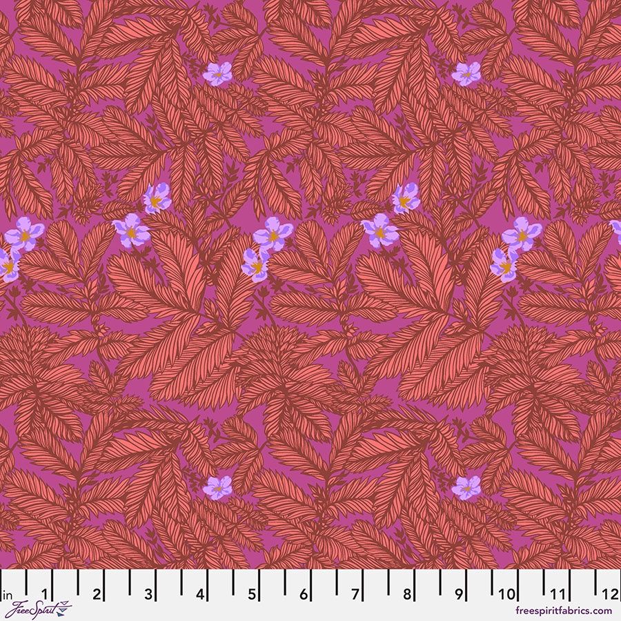 Silverweed - Coral || Good Gracious