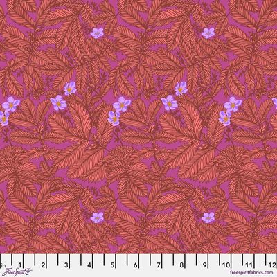 Silverweed - Coral || Good Gracious