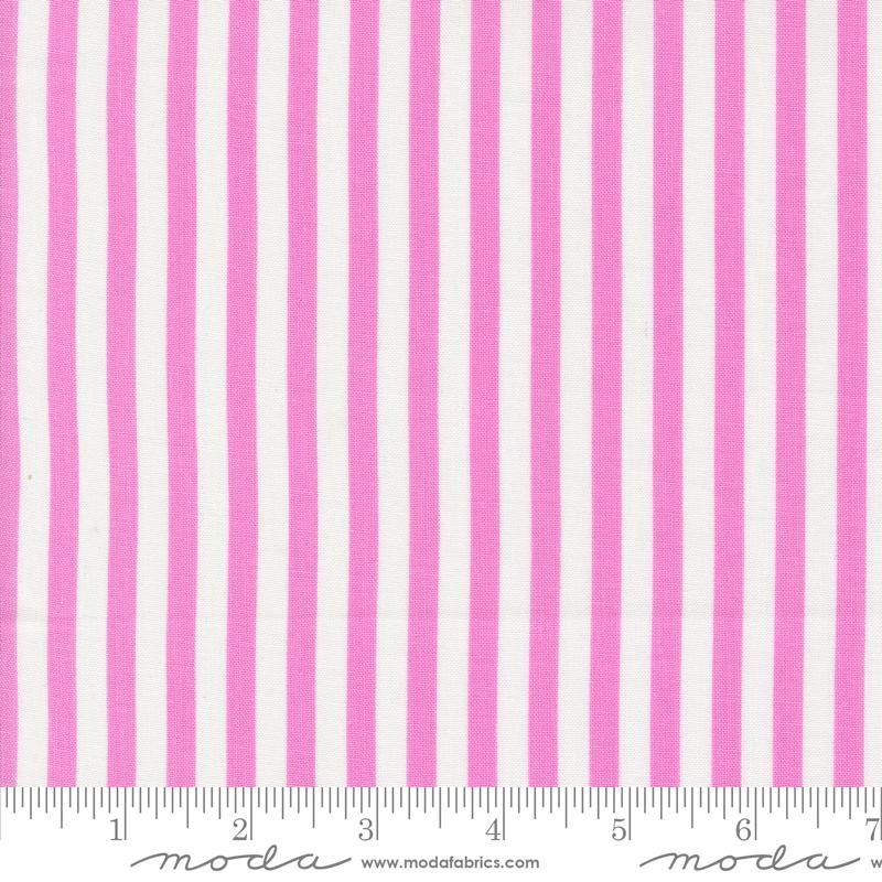 Coriander Colors Purple 29203 29 Moda #1