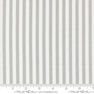 Coriander Colors Grey 29203 30 Moda #1