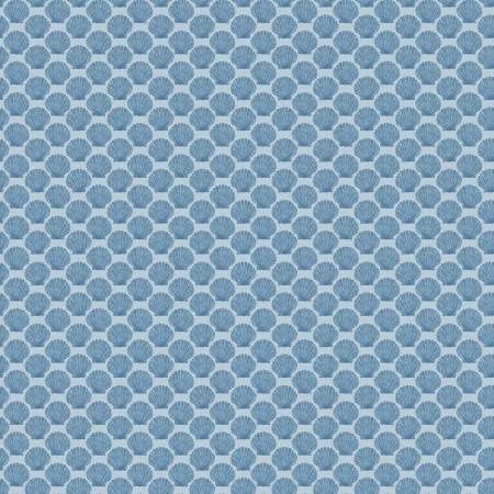 Aqua Shell | Windham