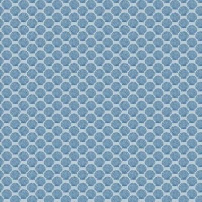 Aqua Shell | Windham