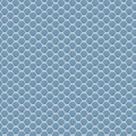 Aqua Shell | Windham