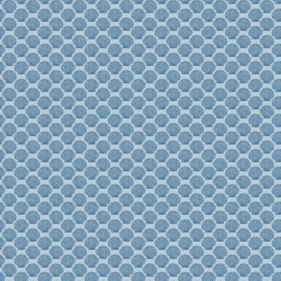 Aqua Shell | Windham