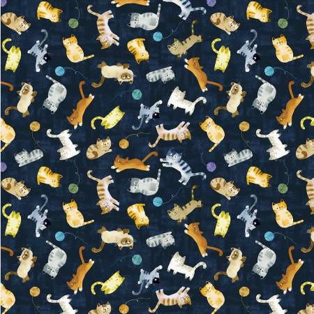 Navy Playful Companions