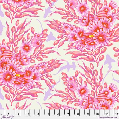 Shadow Sharks - Delphine| Floral Reef