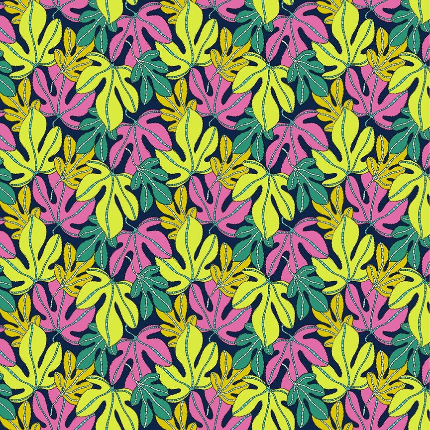 Monstera - Multi | Sunshine