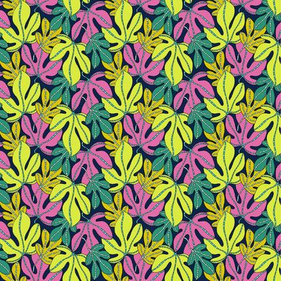 Monstera - Multi | Sunshine