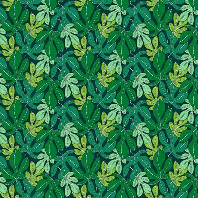 Monstera - Forest | Sunshine