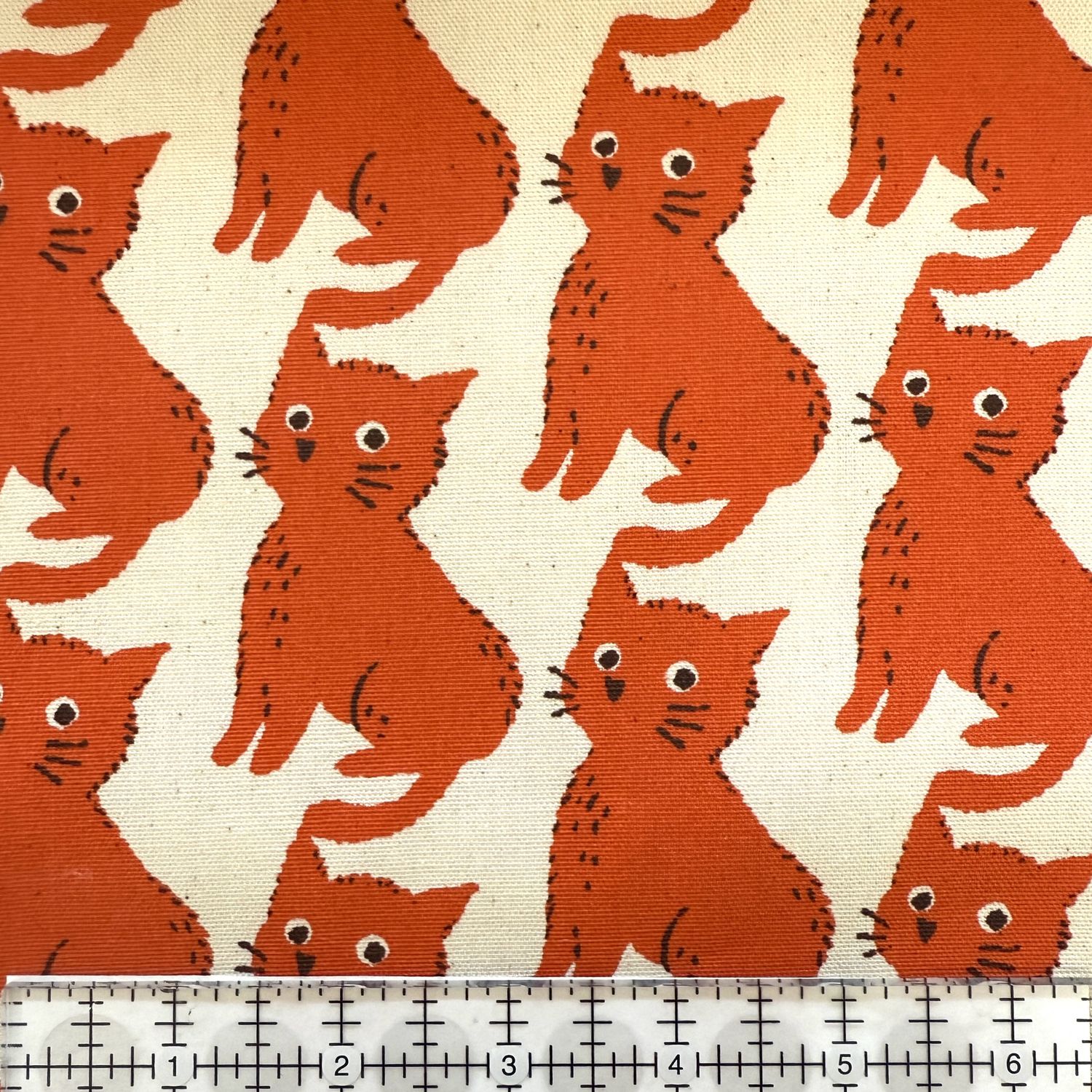 Sevenberry 850575-1-1 Wide-Eyed Cat cotton oxford, Orange