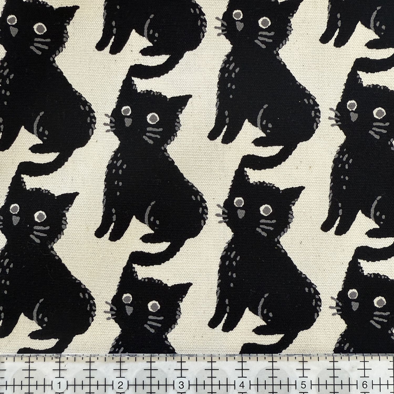 Sevenberry 850575-1-4 Wide-Eyed Cat cotton oxford, Black