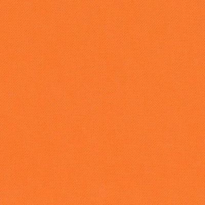 Big Sur Canvas - Carrot Online