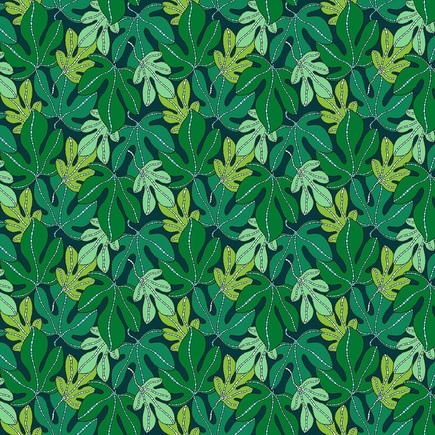 Monstera - Forest | Sunshine Online