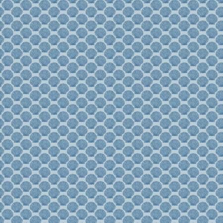 Aqua Shell | Windham Online