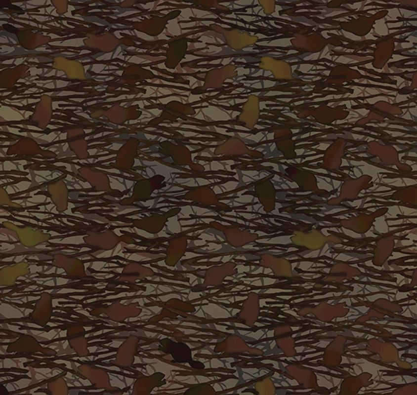 APNWSH 2026 OREGON - Beavers - Brown 265OR 1 Online