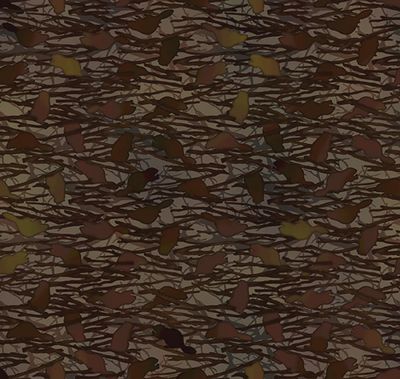 APNWSH 2026 OREGON - Beavers - Brown 265OR 1 Online