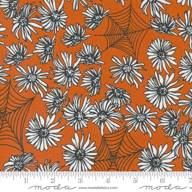 Noir Pumpkin 11541 24 Moda #1 | Halloween Online