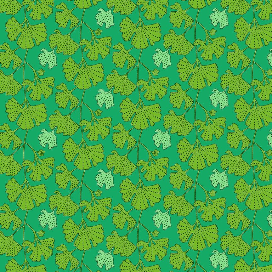 Ginkgo - Kelly | Sunshine Online