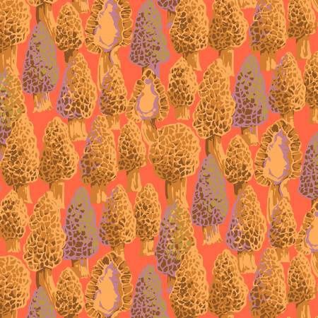 Morel Coral Online