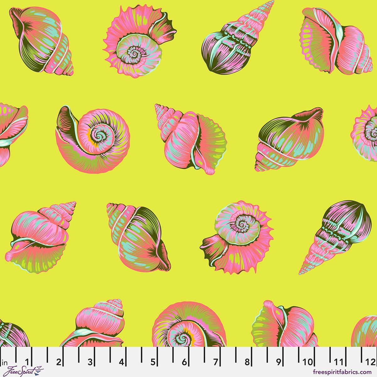 Lil Shelly - Seagrass| Floral Reef Online